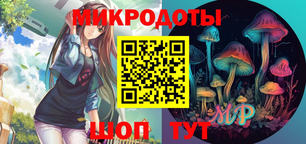 Псилоцибиновые грибы Psilocybine cubensis  Галлюциногенные грибы ЛСД  Вход с VPN  Кандалакша 